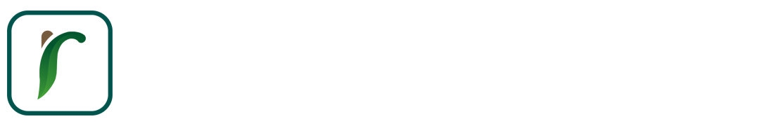 My WordPress